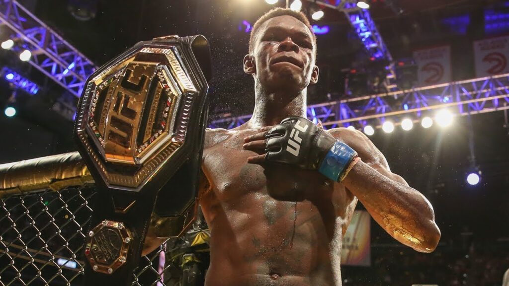 African mixed martial arts fighters in the Ultimate Fighting Championship spotlight